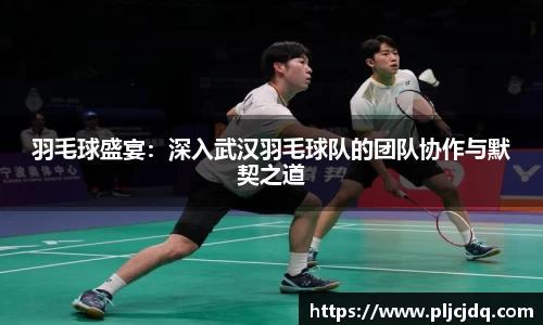 羽毛球盛宴：深入武汉羽毛球队的团队协作与默契之道